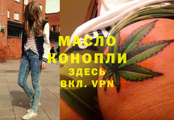дживик Ельня
